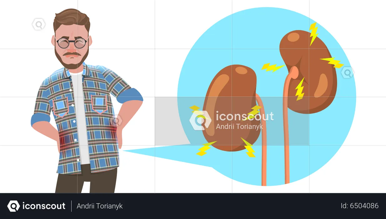 Urinary System Disorders  Illustration