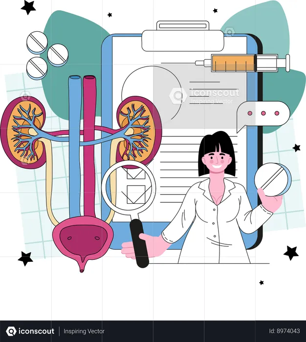 Urinary system examination  Illustration