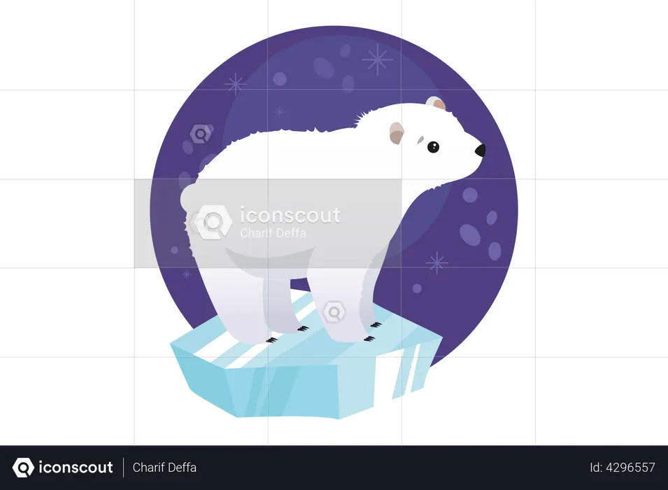 Urso polar  Ilustração