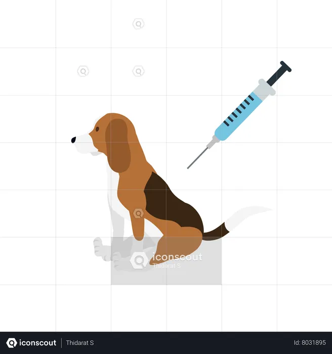 Vaccination Of A Dog  Illustration