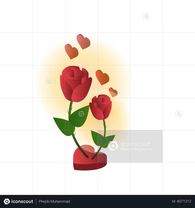 Valentine Rose  Illustration