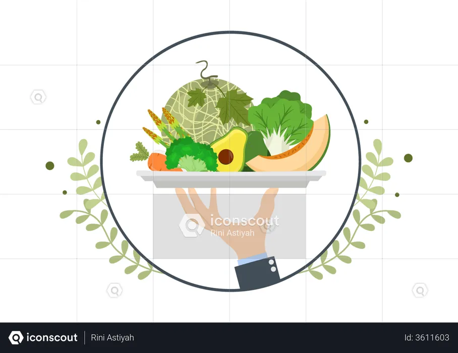 Vegetarian Dish  Illustration