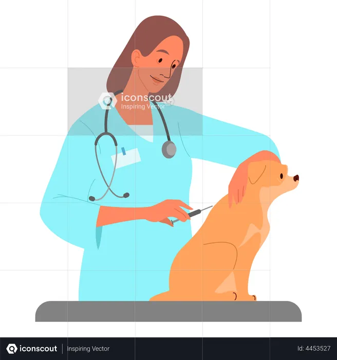 Vet doctor giving pet vaccination  Illustration