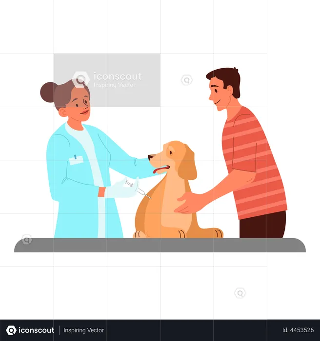 Vet doctor giving vaccine to dog  Illustration