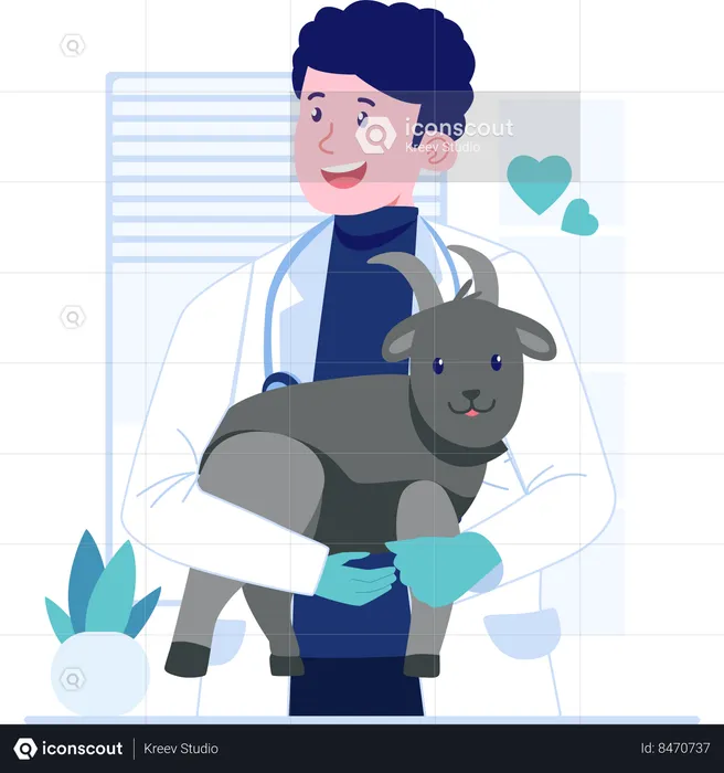 Veterinarian carrying baby goat  Illustration