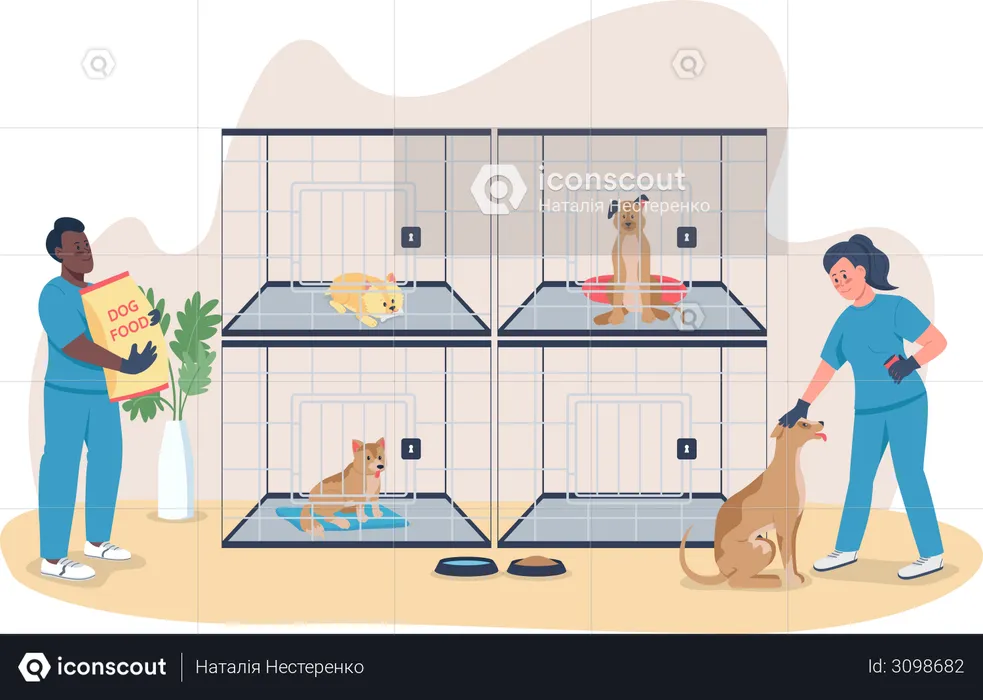 Veterinary care for dogs  Illustration