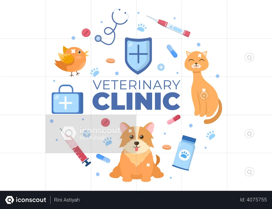 Veterinary Clinic  Illustration