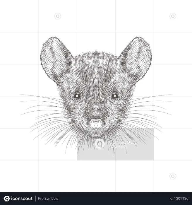 Visage de souris  Illustration