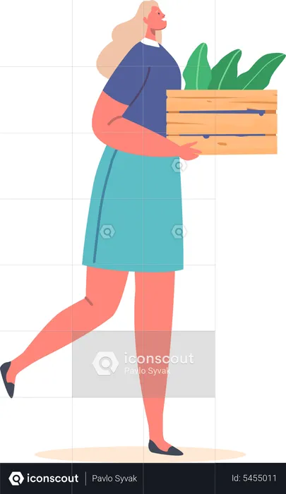 Volunteer Woman Carry Box with Tree Seedlings for Planting to Ground in Garden  Illustration