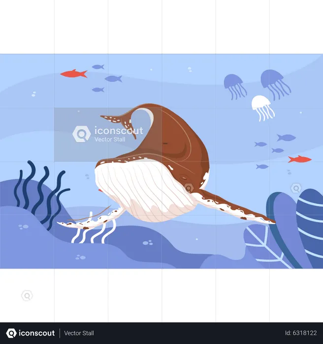 Wal im Wasser  Illustration