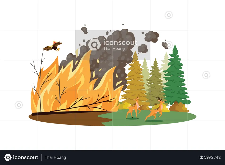 Waldbrände  Illustration