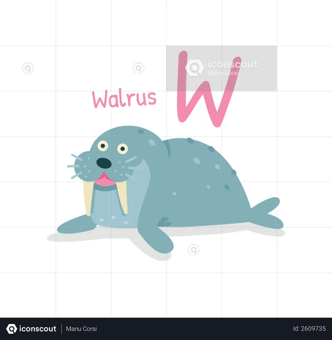 Walrus  Illustration