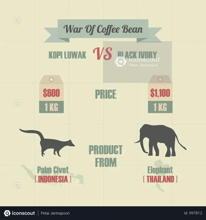 War Of Coffee Bean, Kopi Luwak VS Black Ivory, The Most Expensive Coffee In The World  Illustration