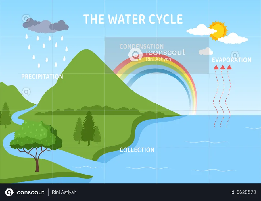 Water cycle diagram  Illustration