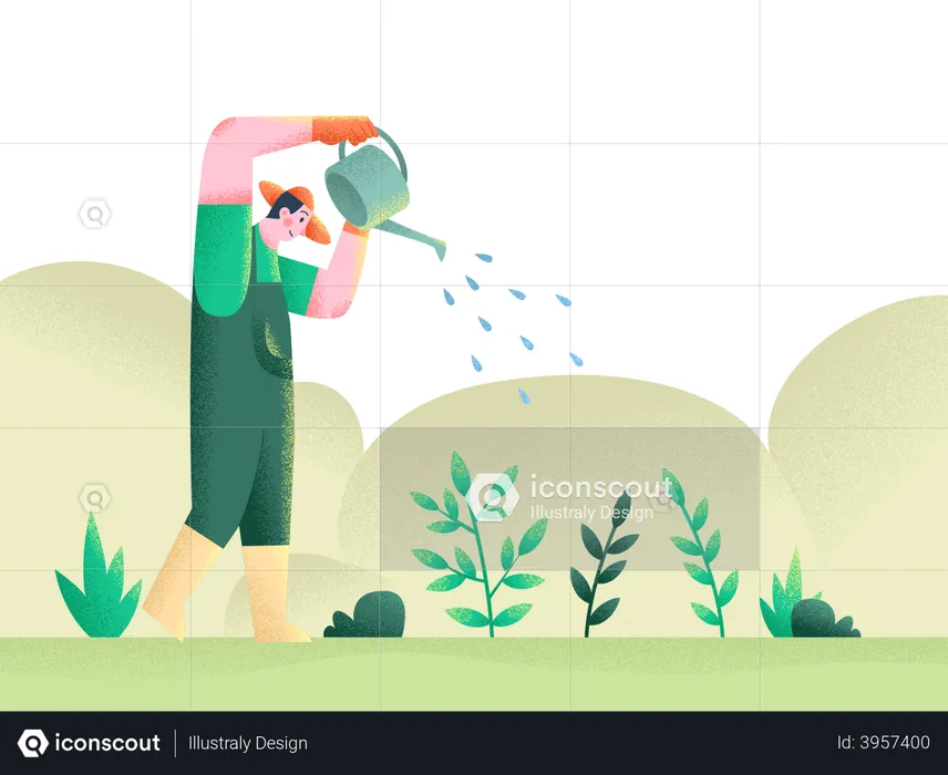 Watering the plants  Illustration