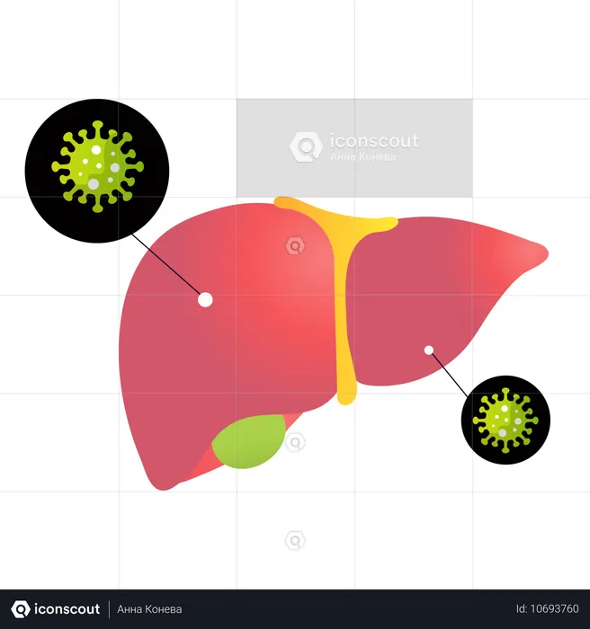 Welt-Hepatitis-Tag  Illustration