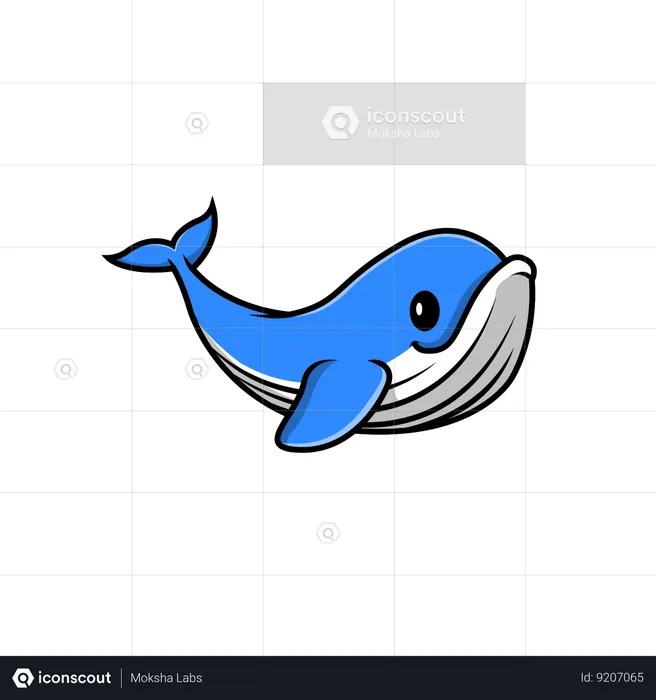 Whale  Illustration