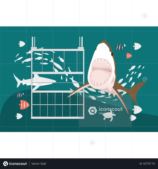 Whale easting small fish  Illustration