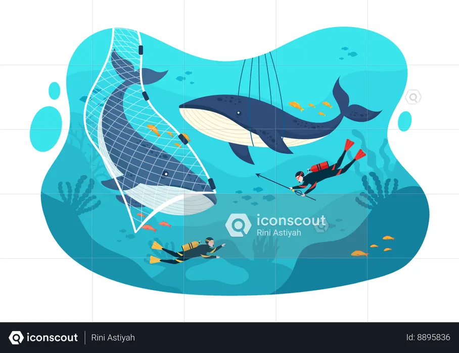 Whale Hunting  Illustration