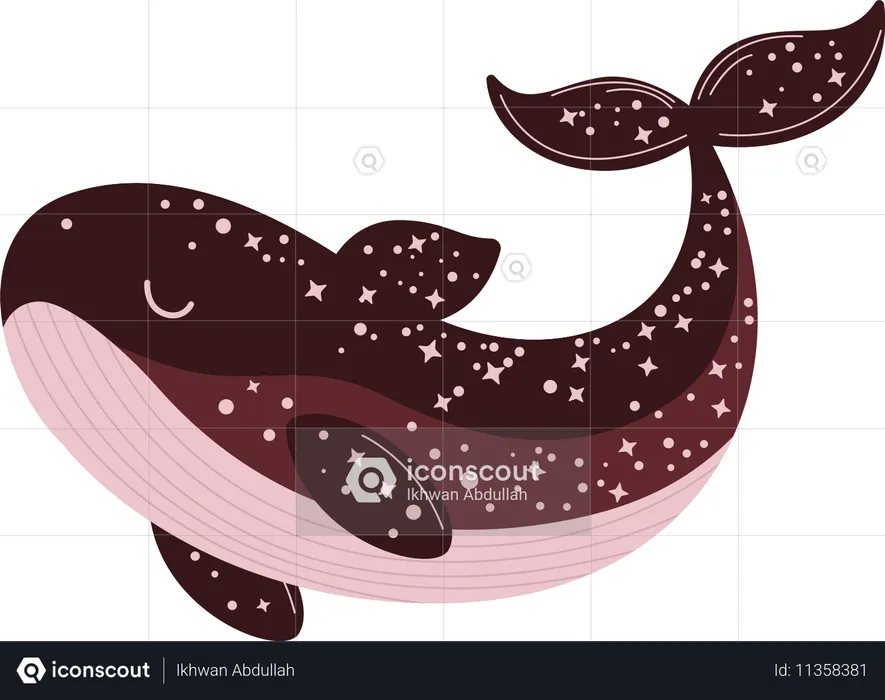 Whale  Illustration