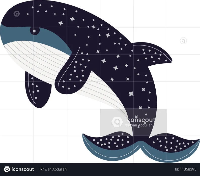 Whale  Illustration