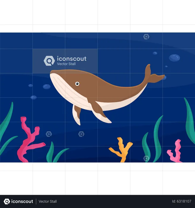 Whale in sea  Illustration