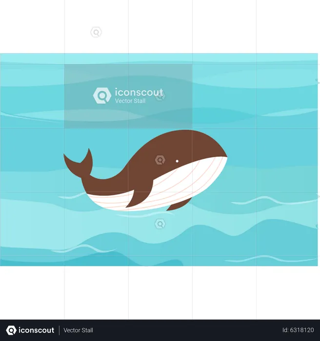 Whale in sea  Illustration