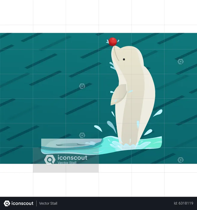 Whale playing with ball  Illustration