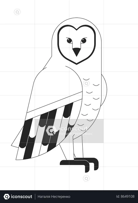 Wild owl  Illustration