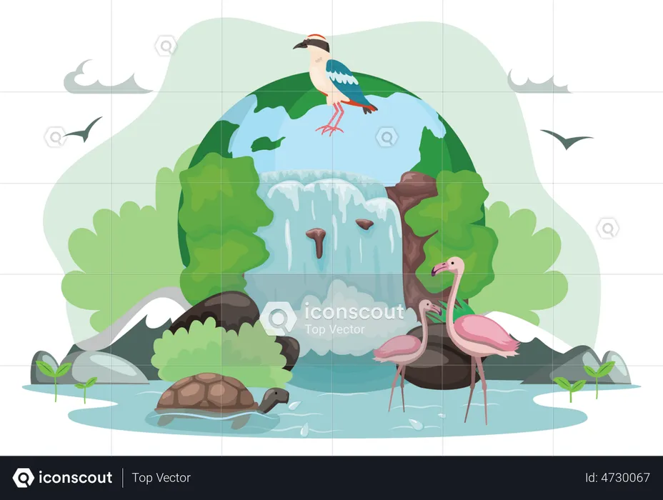 Wildlife Conservation  Illustration