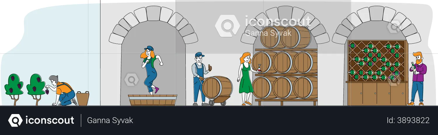 Wine Producing and Wine Drinking  Illustration