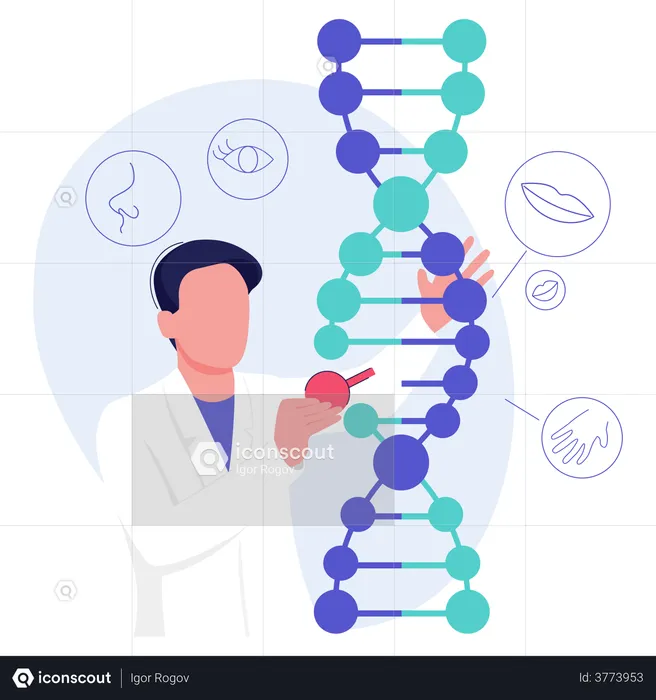 Wissenschaftler erforschen DNA  Illustration