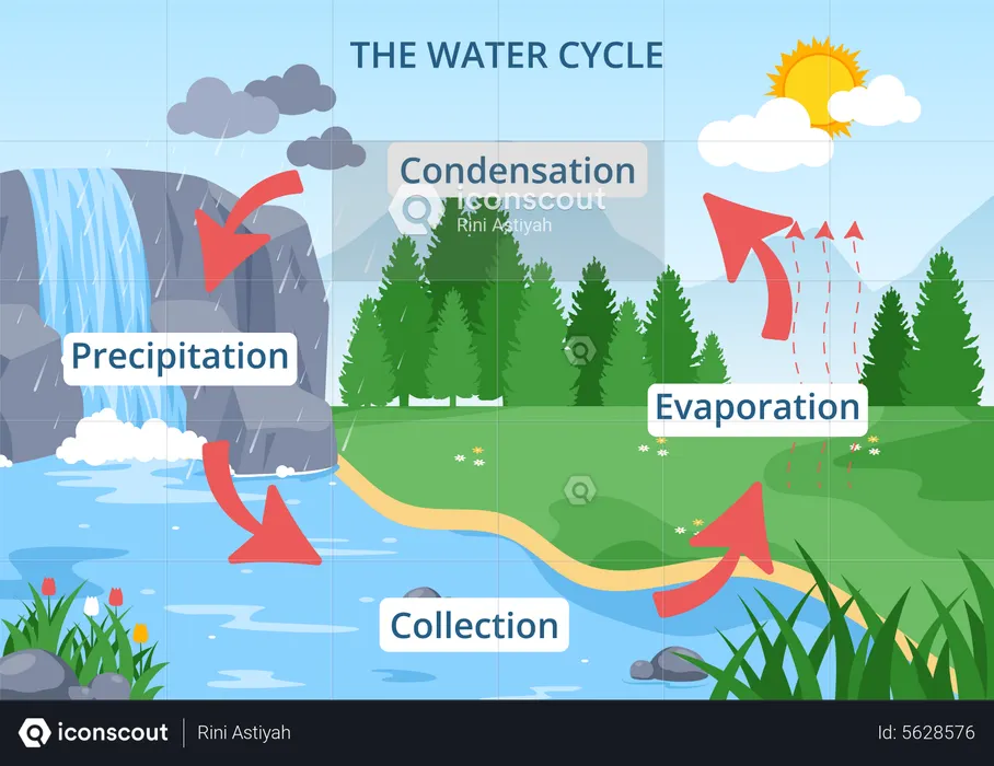 Wissenschaftlicher Wasserkreislauf  Illustration