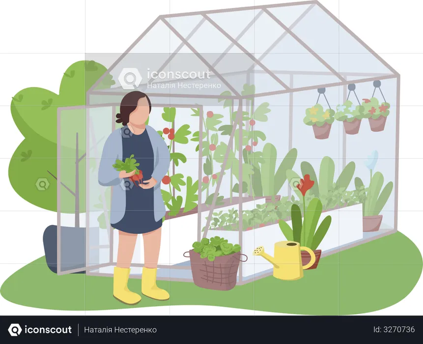 Woman and greenhouse  Illustration