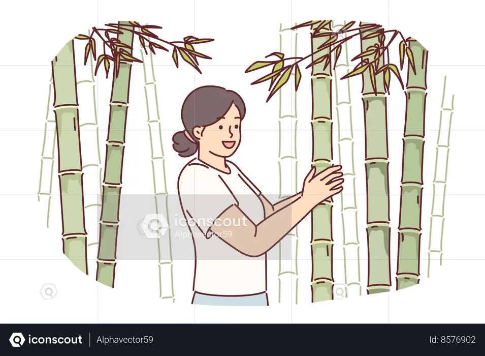 Woman at sugar cane  Illustration