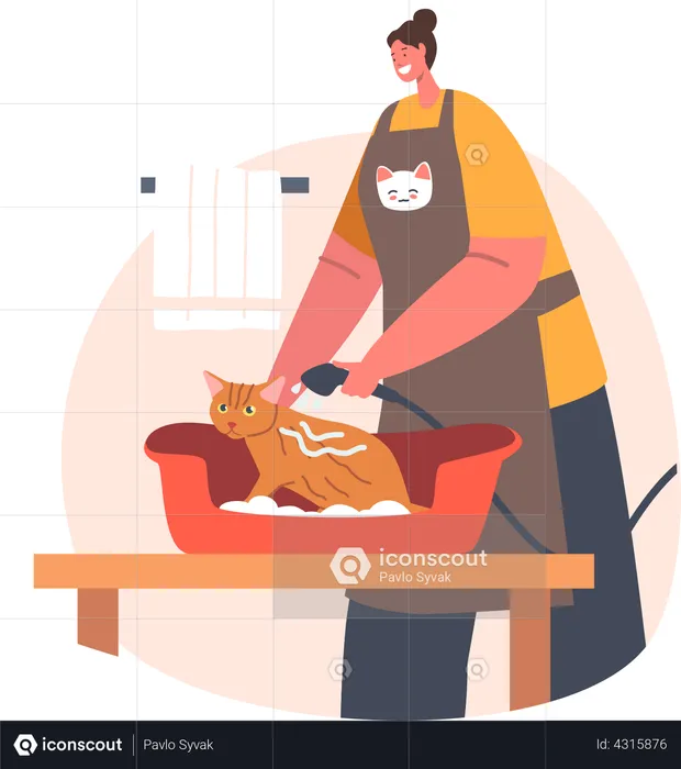 Woman bathing cat providing pet grooming service  Illustration