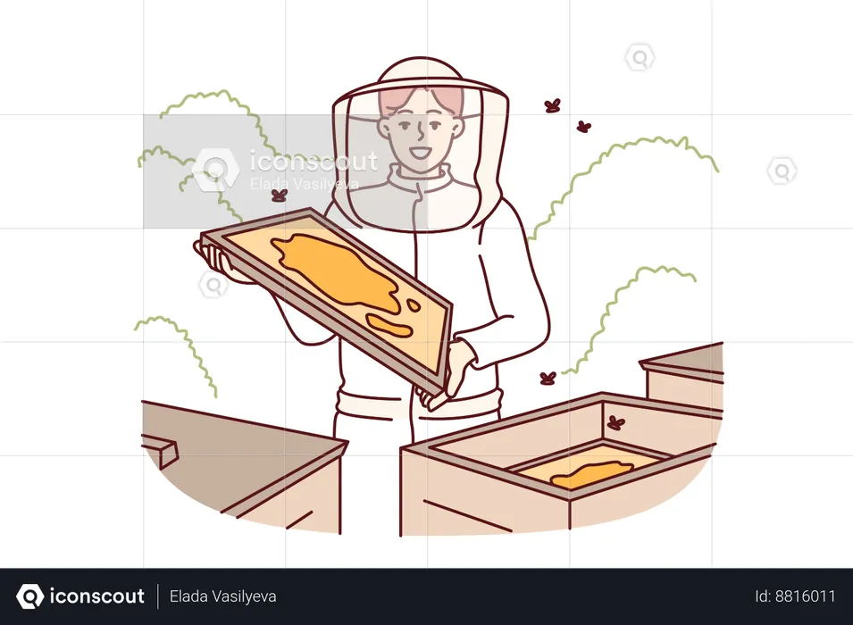 Woman beekeeper stands in apiary  Illustration