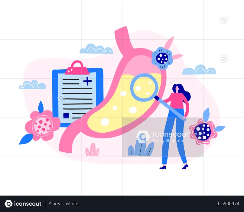 Woman doctor character examine stomach organ  Illustration