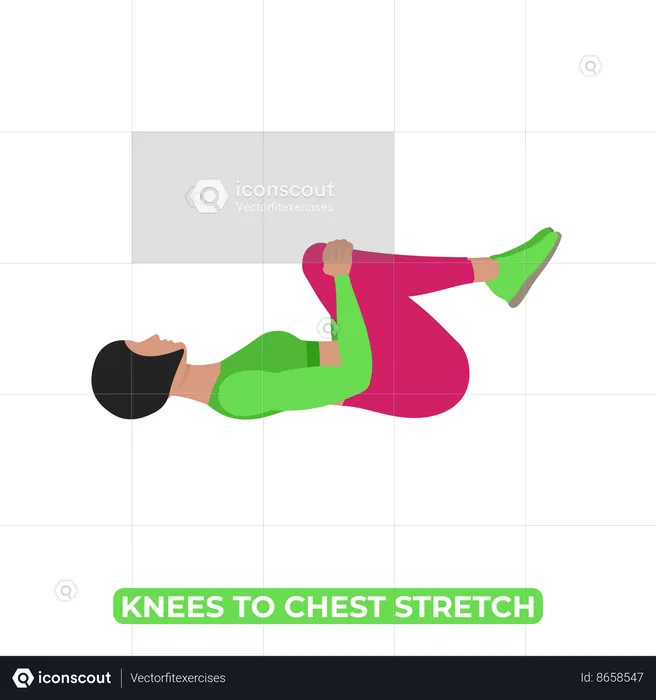 Woman Doing Double Knee To Chest Stretch  Illustration