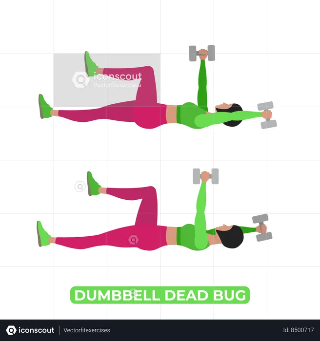 Woman Doing Dumbbell Dead Bug  Illustration
