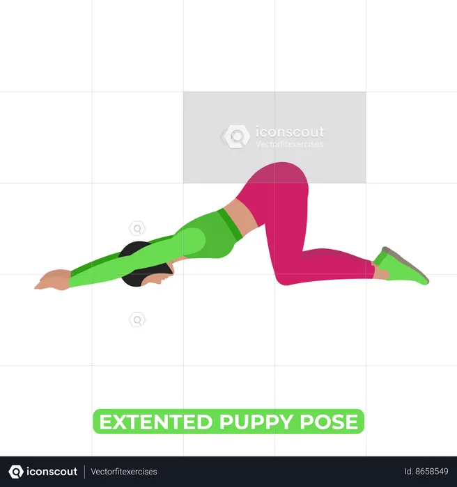 Woman Doing Extented Puppy Pose  Illustration