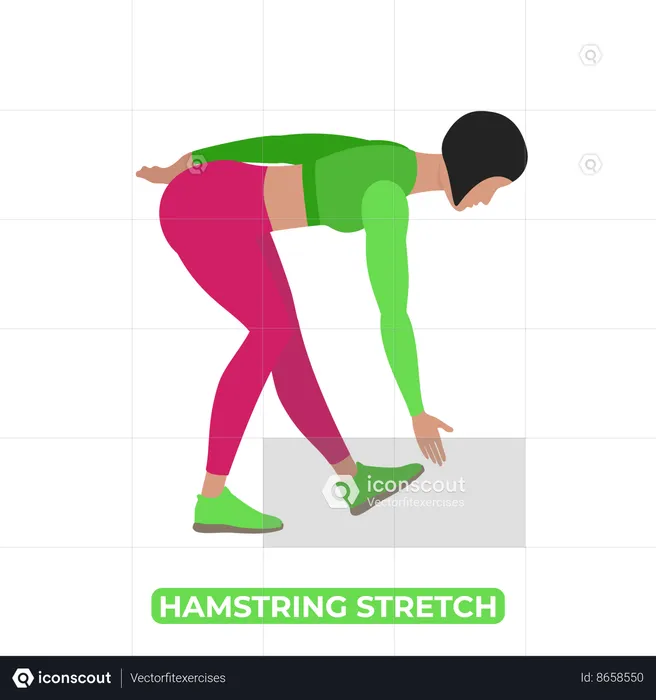 Woman Doing Hamstring Stretch  Illustration