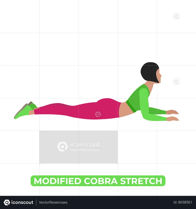 Woman Doing Modified Cobra Stretch  Illustration