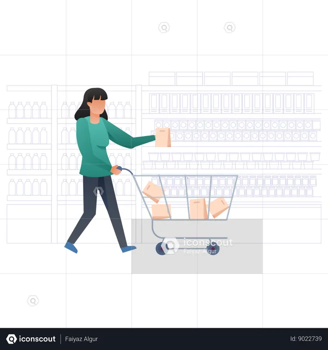 Woman Doing Shopping  Illustration