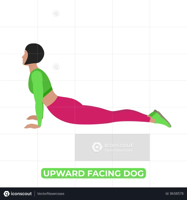 Woman Doing Upward Facing Dog Stretch  Illustration