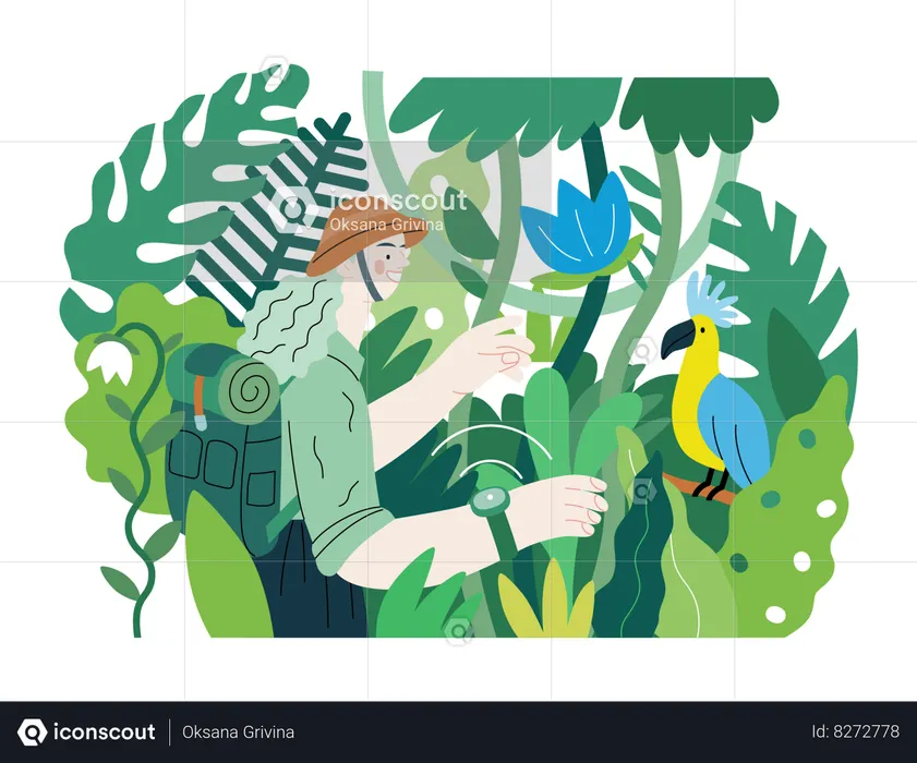 Woman exploring jungle and wild bird in tree  Illustration