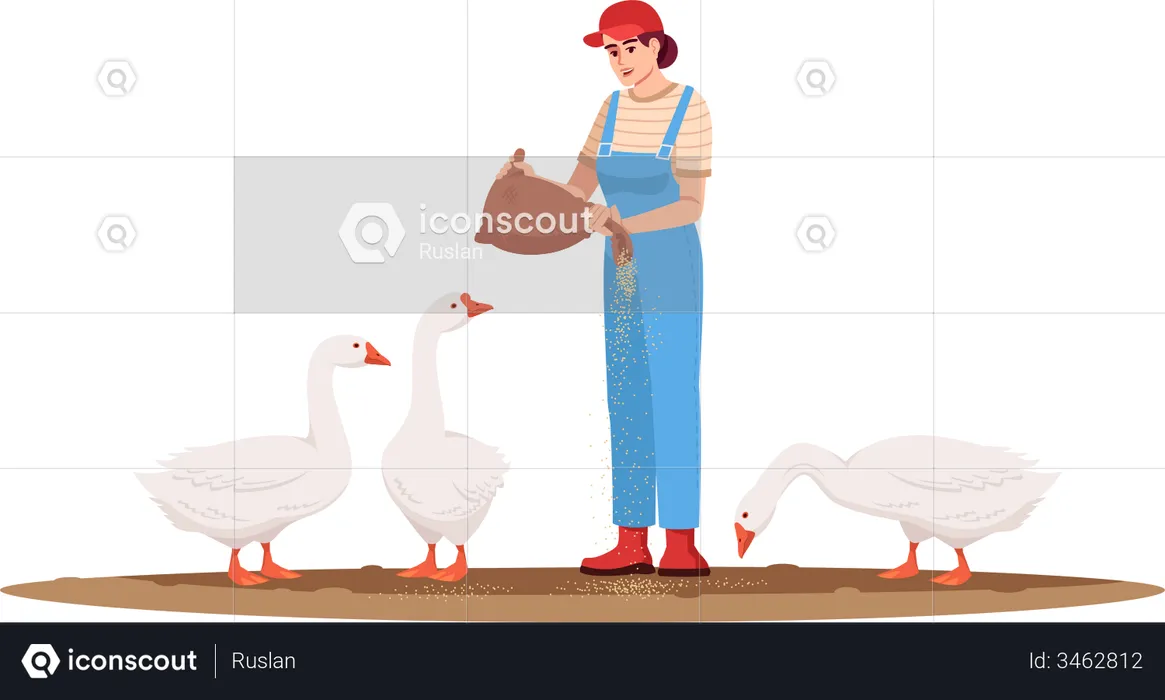 Woman Feeding Ducks  Illustration