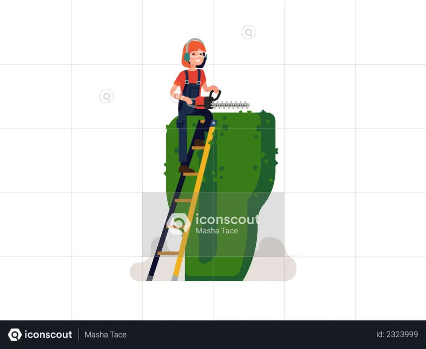 Woman Gardening maintaining boxwood  Illustration