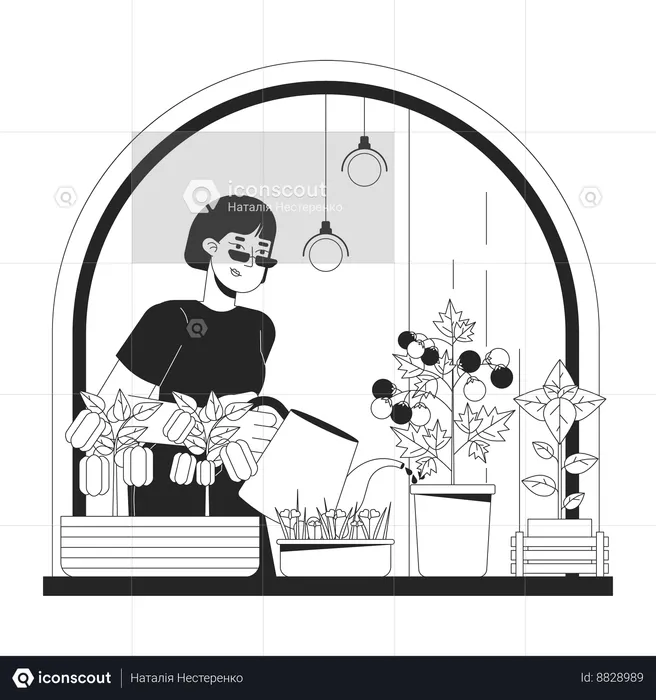 Woman Growing indoor veggies in windowsill  Illustration