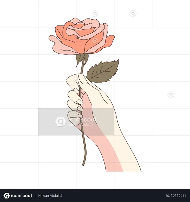 美しいバラの花を持つ女性の手  イラスト